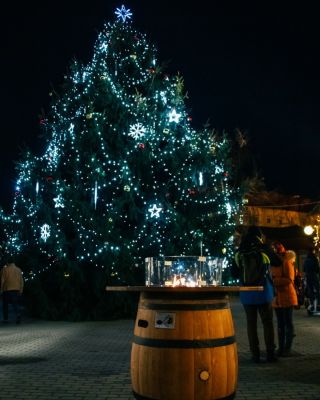 Vánoce se blíží 🎄✨ a my už se nemůžeme dočkat, až se znovu po roce potkáme na vánočních akcích. Stejně jako tady v...