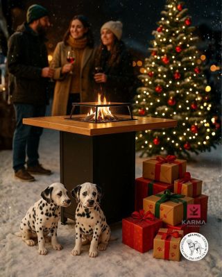 Příští neděli se u rozsvícení stromečku v Českém Brodě rozvoní lívance z našeho venkovního ohniště. 🔥 Přijďte se zahřát,...